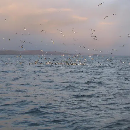 The Stone House ベッド・アンド・ブレックファスト 3*