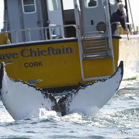 ベッド・アンド・ブレックファスト The Stone House 3*