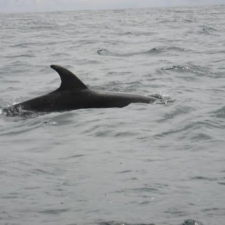 The Stone House Bed & Breakfast