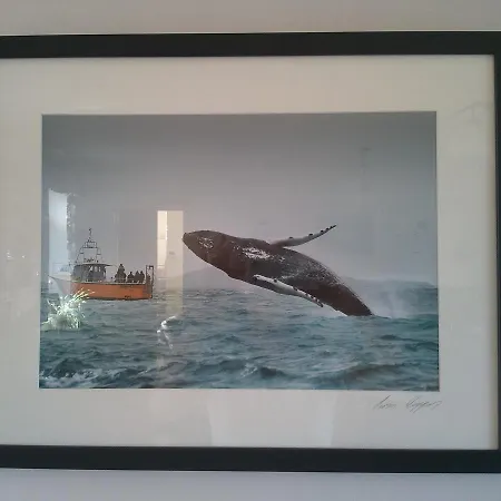 ベッド・アンド・ブレックファスト The Stone House ボルティモア