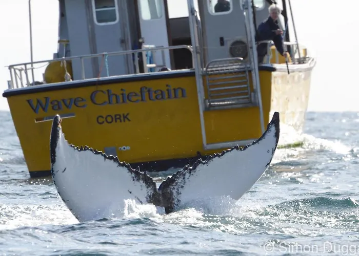 فندق مبيت وإفطار The Stone House 3*