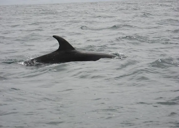 The Stone House فندق مبيت وإفطار