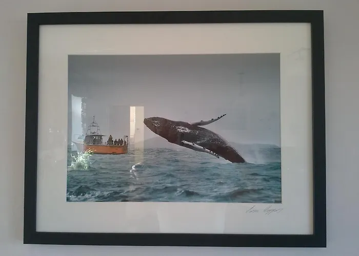 B&B The Stone House 볼티모어