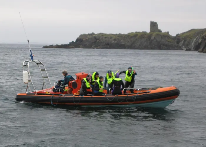 The Stone House بالتيمور